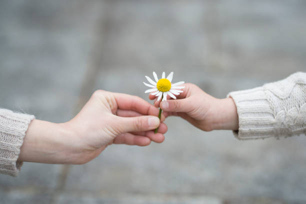 istock Parent and child handing white flowers 919488988