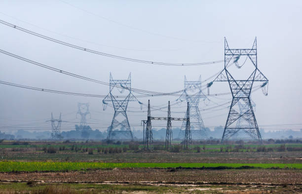 Transmission towers of lines of high voltage similar to very big owls and other exotic mythical animals, standing on the Indian plain.
