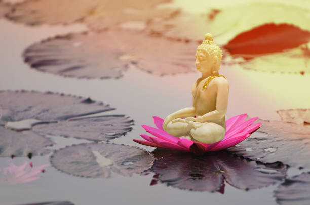white bhuddha statue on red lotus floating on water