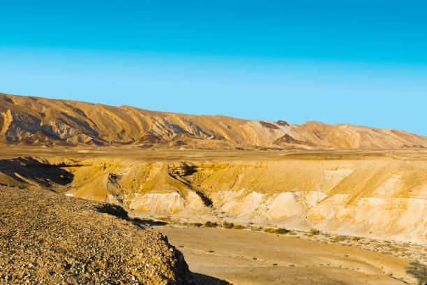 istock Negev Desert in Israel 919517602