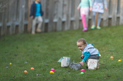 A toddler affectionately pets an adorable bunny rabbit in a large grassy enclosed back yard with a wood fence. The bunny is on the ground in the grass and there are plastic colored eggs laying around waiting to be found. Several kids are in the background looking for Easter eggs.