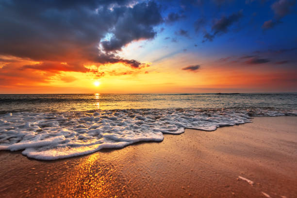 istock Tropical beach at beautiful sunset. Nature background. 919527698