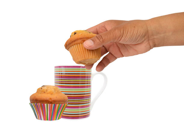 Cranberry orange muffin