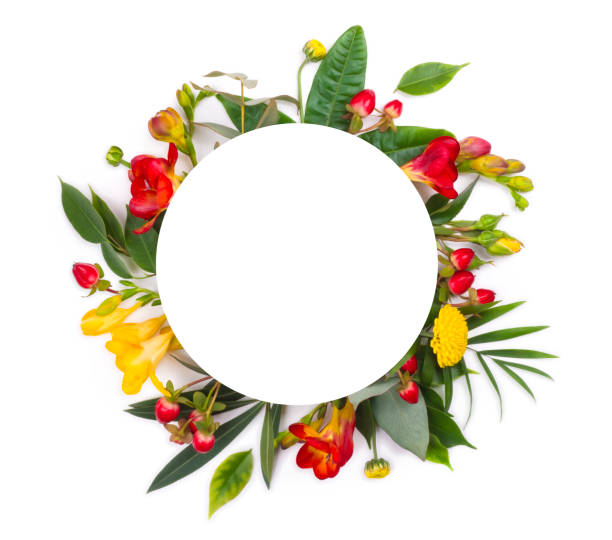 Floral invitation or greetings card design with round copy space