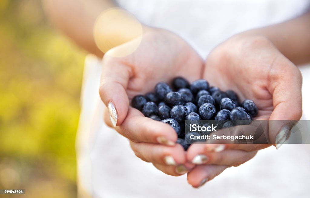 Arándanos en manos de los agricultores, las manos de las mujeres. Frutas, frutos, alimentos, naturaleza - Foto de stock de Arándano libre de derechos