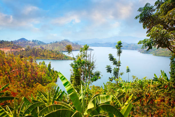 Lake Kivu View of Lake Kivu on the border between the Democratic Republic of the Congo and Rwanda lake kivu stock pictures, royalty-free photos & images