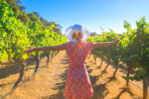 istock Woman in Australian Vineyard 919551634