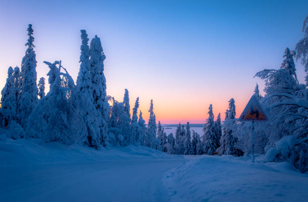 istock Winter sunset road view from Sotkamo, Finland. 919561436