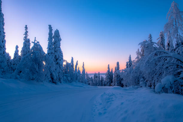 istock Winter sunset road view from Sotkamo, Finland. 919561474