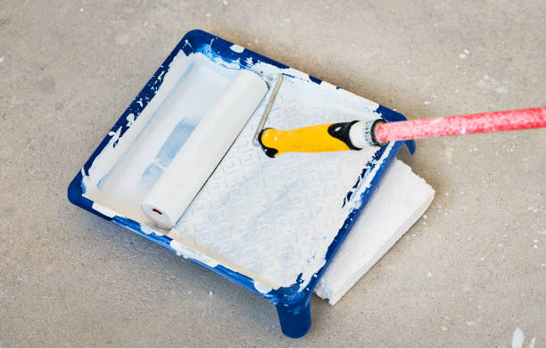 istock Paint roller in paint tray with white color. 919561494