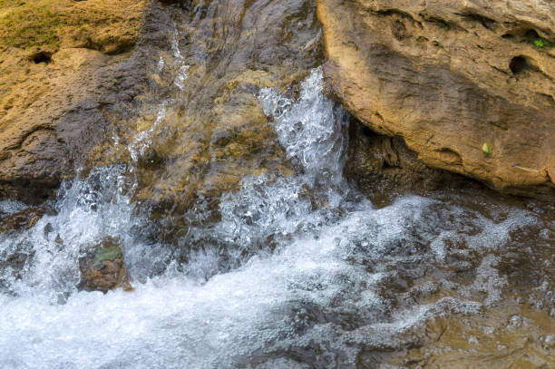 istock Stream in the forest a rapid flow of water 919569822