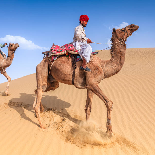 istock Indian man riding camel on sand dunes, Rajasthan, India 919577890