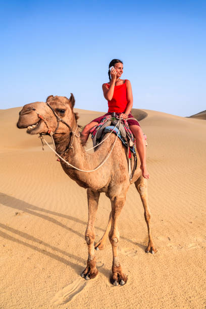istock Young female tourist using mobile on a camel, Rajasthan, India 919580336