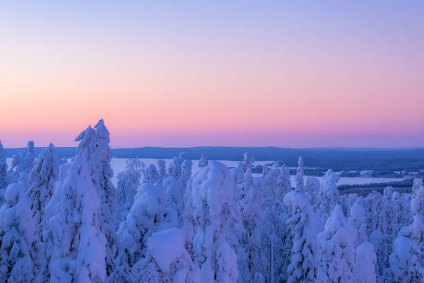istock Winter sunset scene from Sotkamo, Finland. 919581164