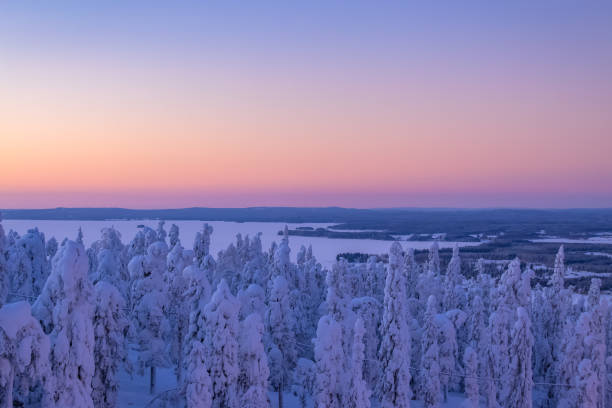 istock Winter sunset scene from Sotkamo, Finland. 919581202