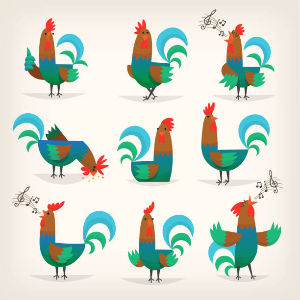 Rooster from farm Rooster character from many fairy tales for children. Male chicken in different poses for greeting cards or posters in child's room farm cartoon animal child stock illustrations