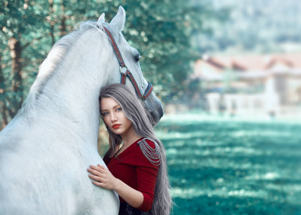 White Lippizan Horse Stallion at \