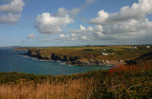 istock Cliffs of Mullion Cove in the morning 919619736