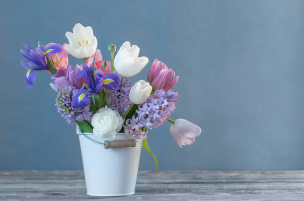 istock spring flowers in bucket on blue background 919658766