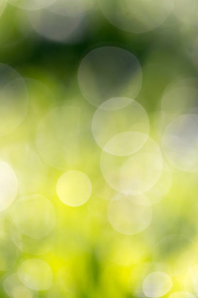 istock bokeh background of green nature 919663316