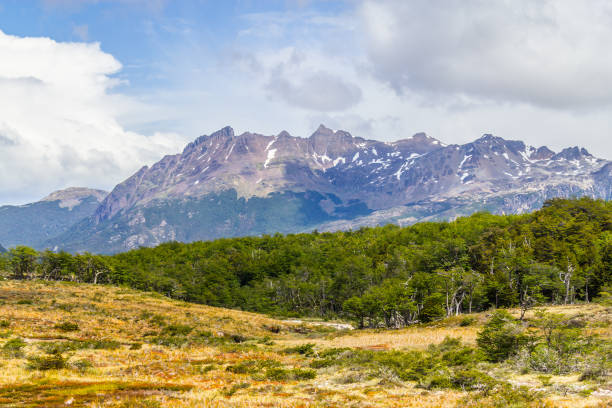 istock Laguna Esmeralda trail with forest and mountains 919663544