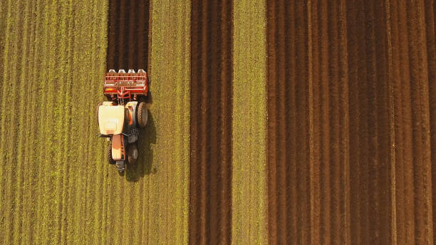 istock Tractor cultivates the land in the field 919666592
