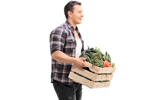 istock Farmer holding a crate full of vegetables 919666824