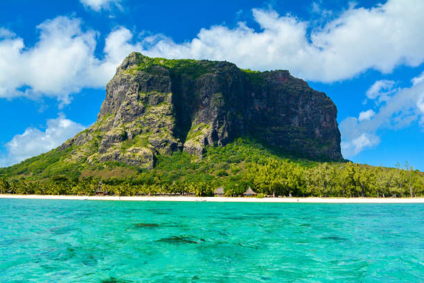 istock Landscape with famous mountain Le Morne Brabant 919667162