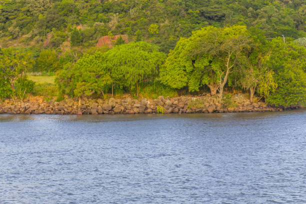 istock Guaiba lake with rocks and trees 919680078