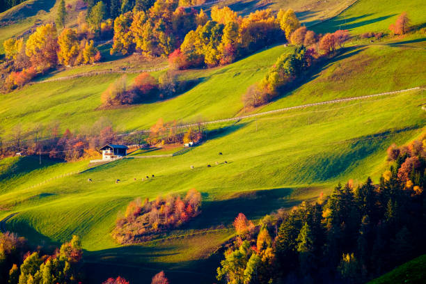 istock Colorful autumn landscape scene 919682144