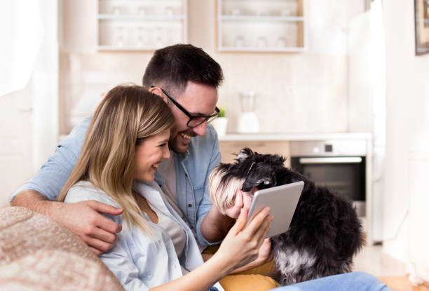 istock Young couple with dog on sofa looking at tablet 919686424