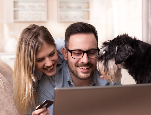 istock Young couple with dog shopping online 919686440