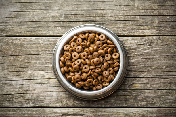 istock Dry kibble dog food 919755806