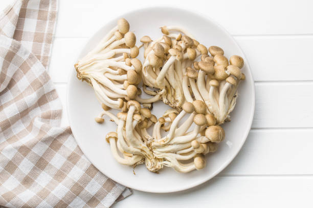 Brown shimeji mushrooms. Brown shimeji mushrooms. Healthy superfood on plate. buna shimeji stock pictures, royalty-free photos & images