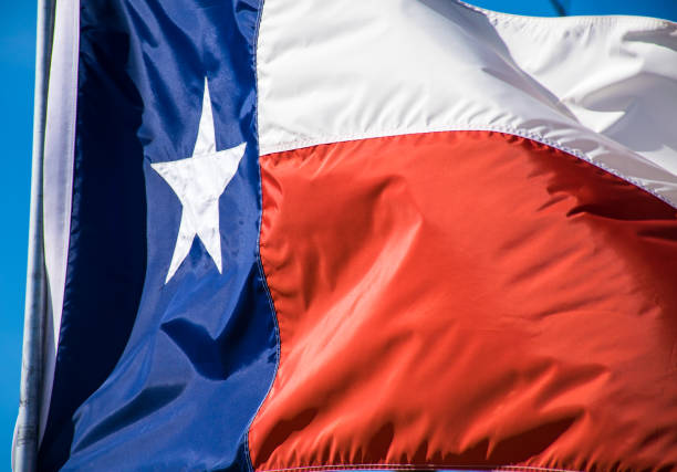 istock Texas state Flag waving in the wind with perfect sunshine 919769052