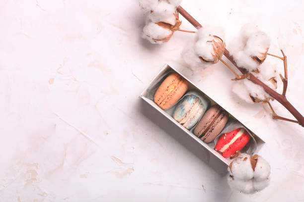 traditional french almond caramel chocolate cranberry macarons dessert biscuits platter on white gray concrete textured background table top. tasty but unhealthy food. - close up cookie gourmet food imagens e fotografias de stock