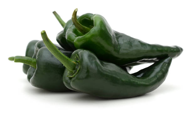 poblano chili peppers stock photo