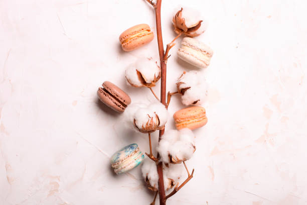 traditional french almond caramel chocolate cranberry macarons dessert biscuits platter on white gray concrete textured background table top. tasty but unhealthy food. - close up cookie gourmet food imagens e fotografias de stock