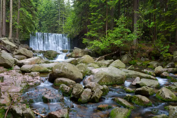 Wilder small waterfall (Dziki Wodospad) Lomnica (Gr. Lomnitz) river in the forest of Karkonosze Mountains, Giant Mountains National Park, Karpacz, Poland