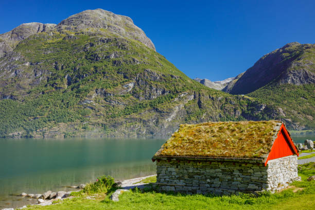 istock National Norwegian small house with a grass on a roof 919793752