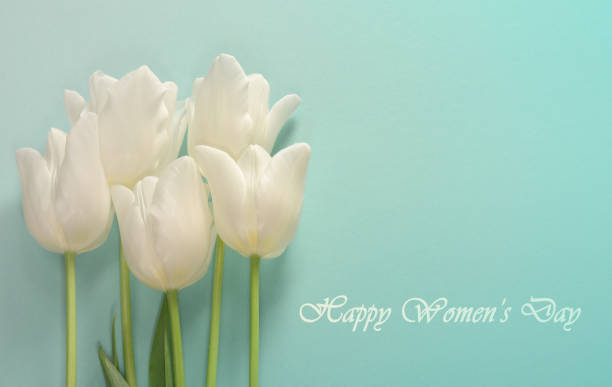 istock Womens day card. White tulips on a light turquoise background 919803282