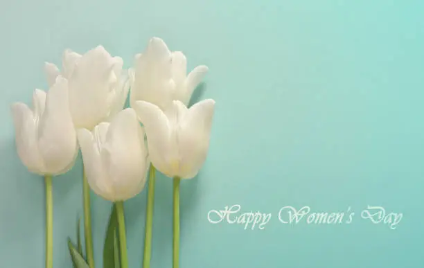 Photo of Womens day card. White tulips on a light turquoise background