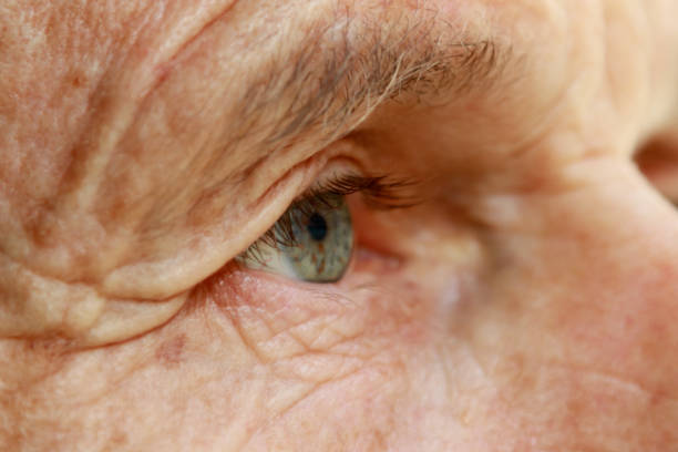 istock Close Ups of Attractive Mature Man 919807556