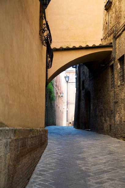 istock View at traditional houses in Siena 919814680