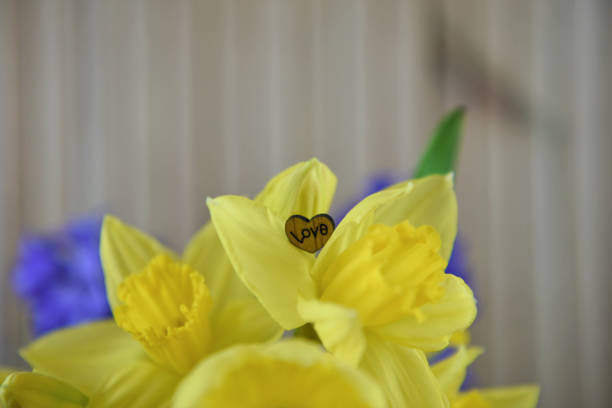 taken in Sussex, UK