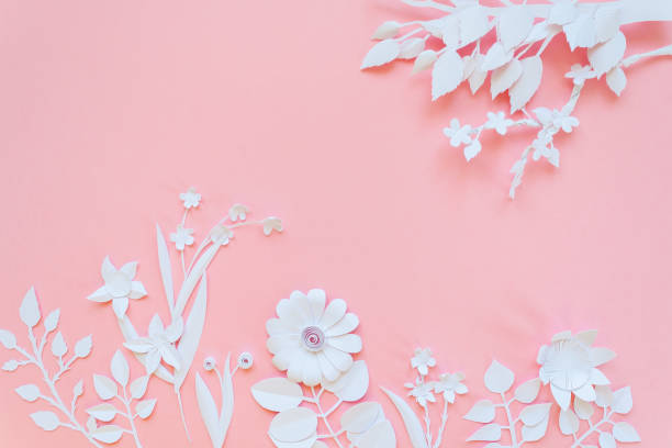 istock white paper flowers wallpaper, spring summer background, floral design elements 919830058