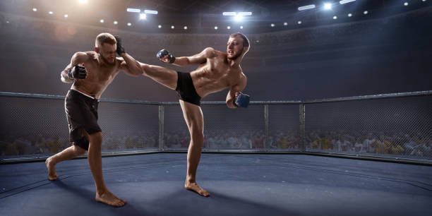 istock MMA fighters in professional boxing ring 919833246