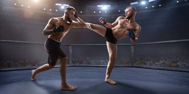 istock MMA fighters in professional boxing ring 919833248