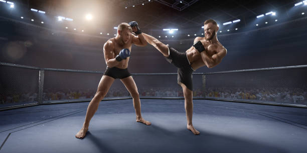 istock MMA fighters in professional boxing ring 919833258