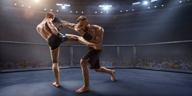 istock MMA fighters in professional boxing ring 919833266